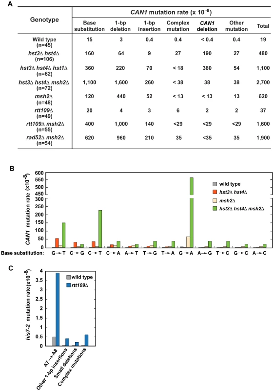 Characterization of spontaneous mutagenesis in <i>hst3</i>Δ <i>hst4</i>Δ and <i>rtt109</i>Δ strains.