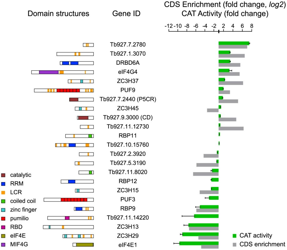 Validation of mRNA-fate regulators.