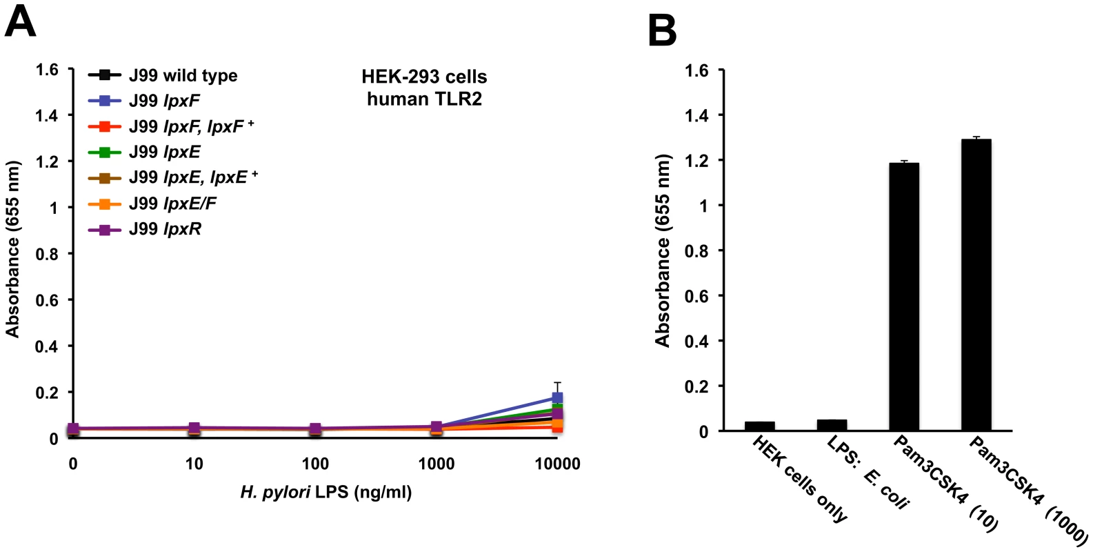 Activation of hTLR2 by <i>H. pylori</i> LPS.