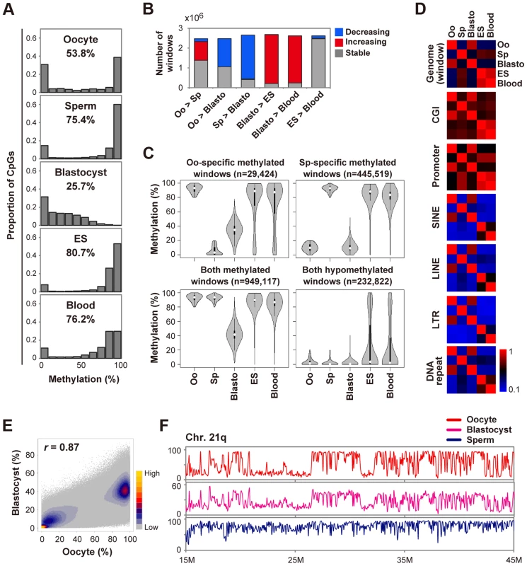 Global changes of DNA methylation during early human development.
