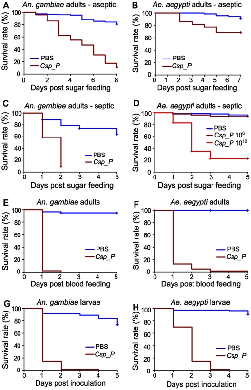 <i>Csp_P</i> exposure causes high mortality in adults and larvae.