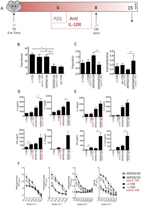 IL-10-blockade establishes resistance to re-infection.