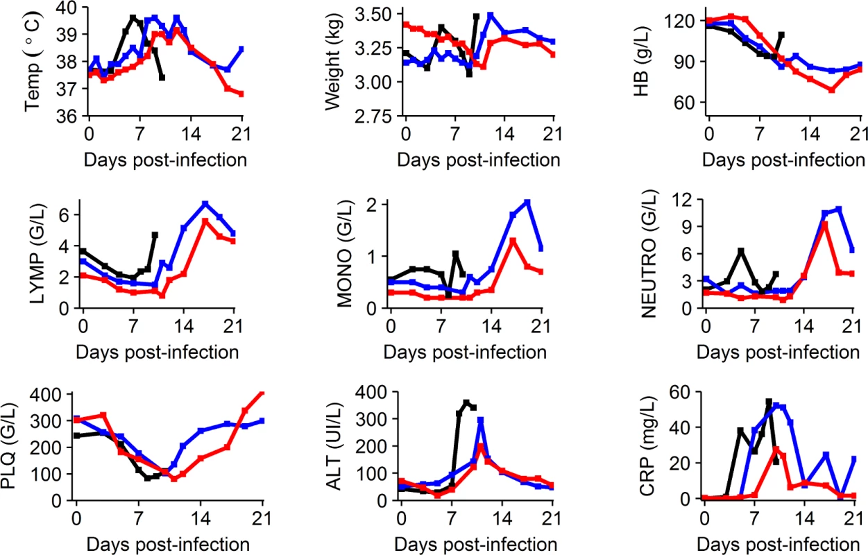 Clinical, biochemical, and hematological evolution according to the dosing group.