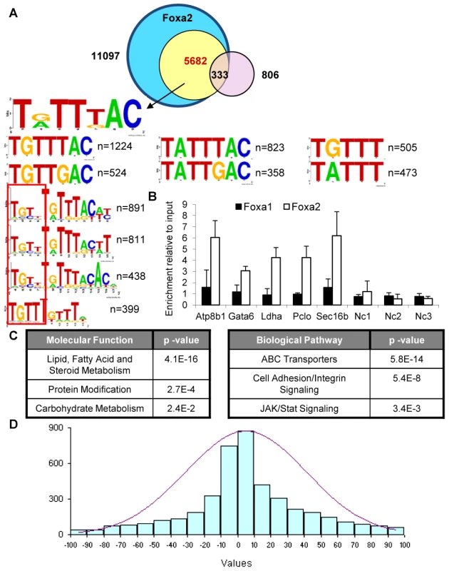 Foxa2-Specific Targets Contain a Medium-Strength <i>Forkhead</i> Consensus and Control Genes in Steroid and Lipid Metabolism.
