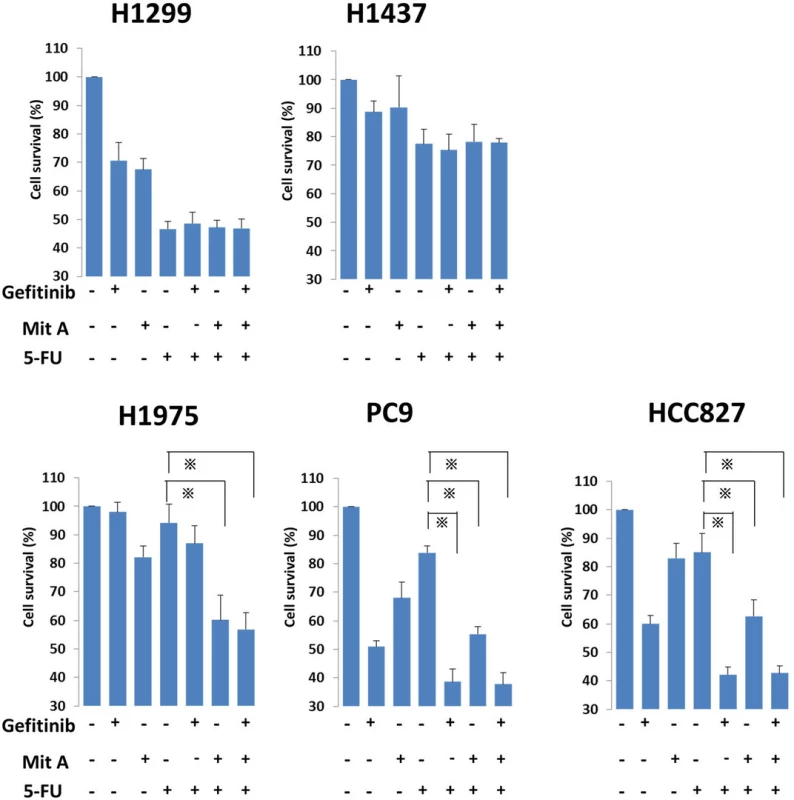 In combination assays, NSCLC cell lines were seeded in 96-well plates at a density of 10<sup>5</sup>/well with culture medium for 24 h. The cell lines were treated with FU (10 μM) alone or FU plus gefitinib (1 μM)/mithramycin A (50 nM) for another 24 h at 37 °C in a 5 % CO<sub>2</sub> atmosphere. After that, WST-1 was added to each well and incubated for 2 h at 37 °C before measuring absorbance at 490 nm with a Multiskan JX Spectrum instrument. The experiments were performed in triplicate. * <i>p</i> < 0.05. Mit A, mithramycin A