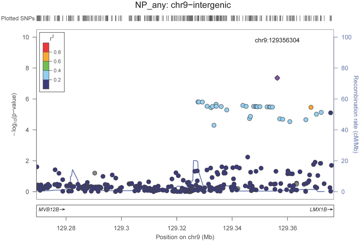 Regional association plot for the chromosome 9:129,280,000–129,380,000 region and the neuritic plaque (any vs. none) analysis.