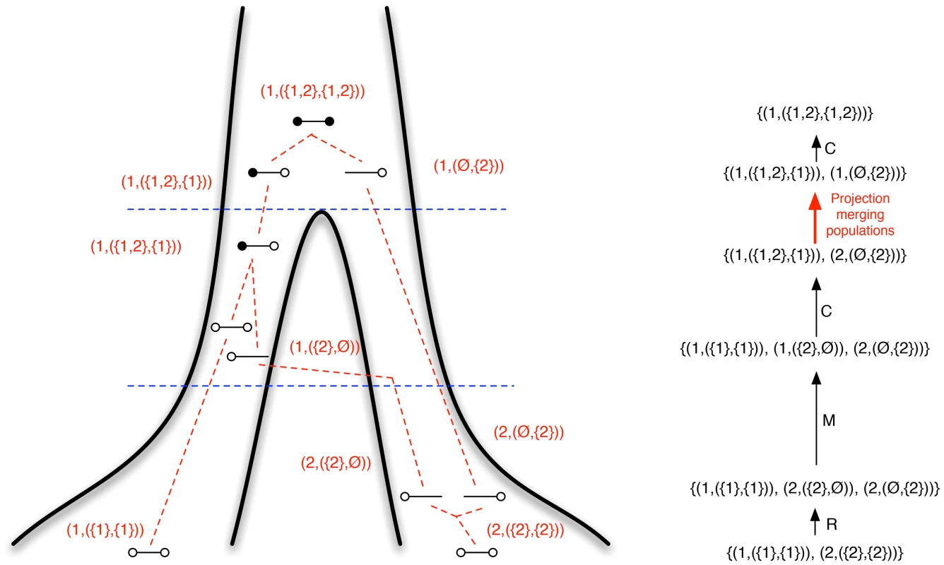 Ancestral recombination graph and state space.