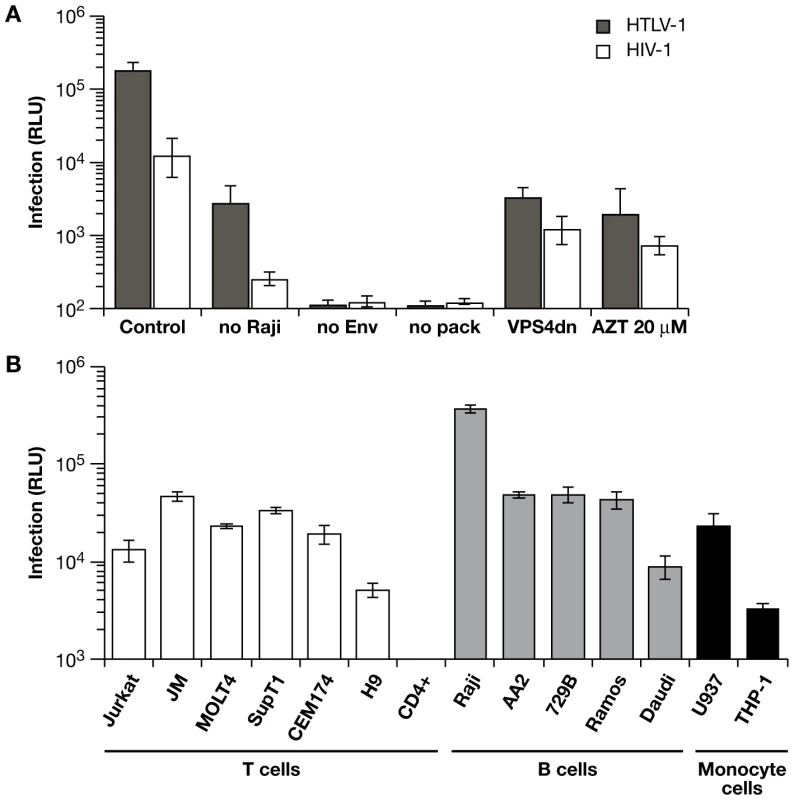 Characteristics of the replication dependent vectors in coculture infections.