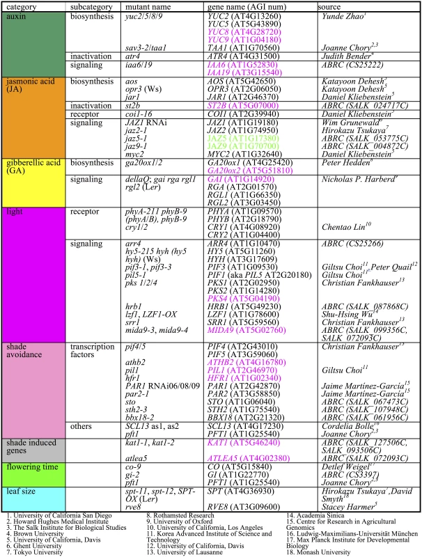 Mutants used in SAS phenotypic profiling.