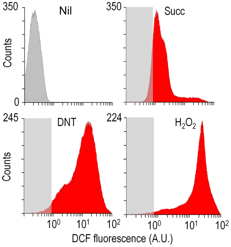 Flow cytometry-assisted determination of ROS content in <i>Burkholderia</i> sp. DNT exposed to the compounds under study.