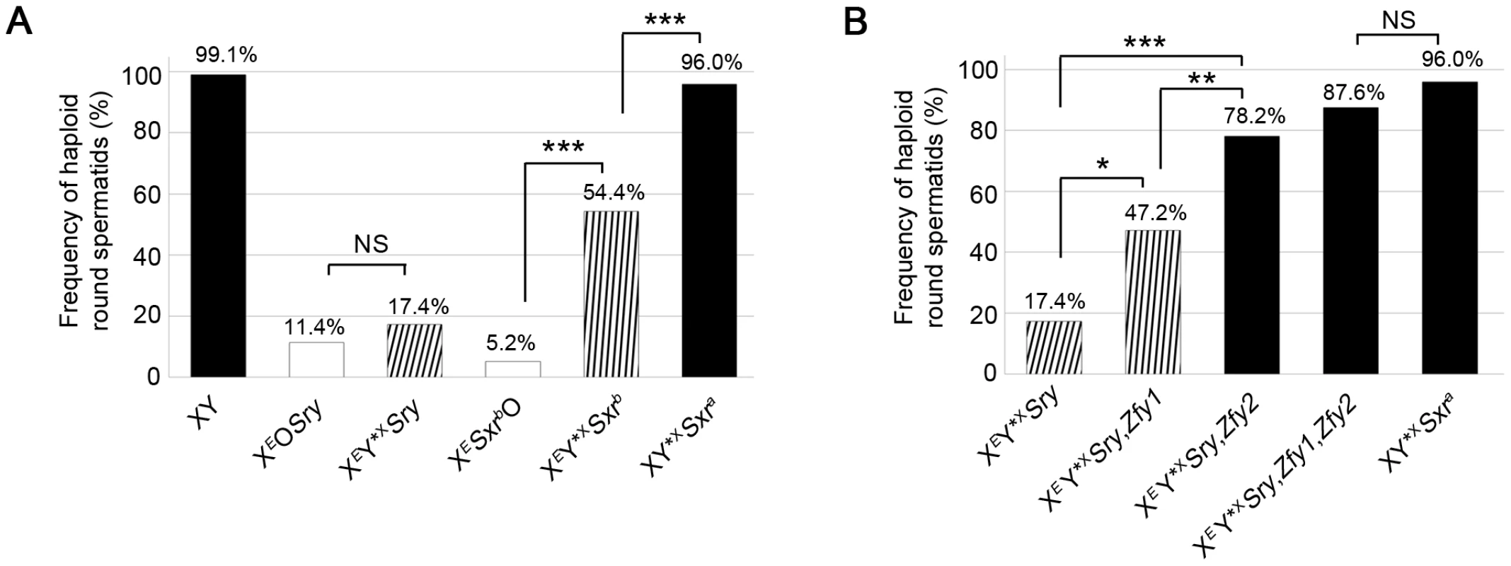 <i>Zfy1</i> and <i>Zfy2</i> promote meiosis-II in the presence of the sex chromosome pairing partner Y*<sup>X</sup>.