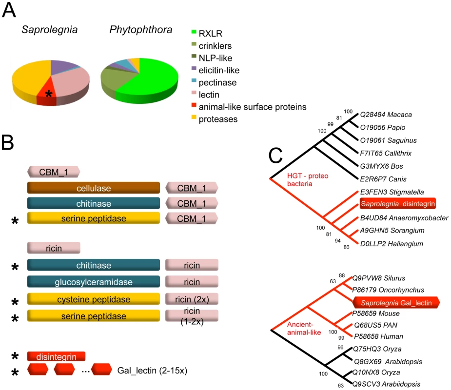 Specialized proteins in the secretome of <i>S. parasitica</i>.