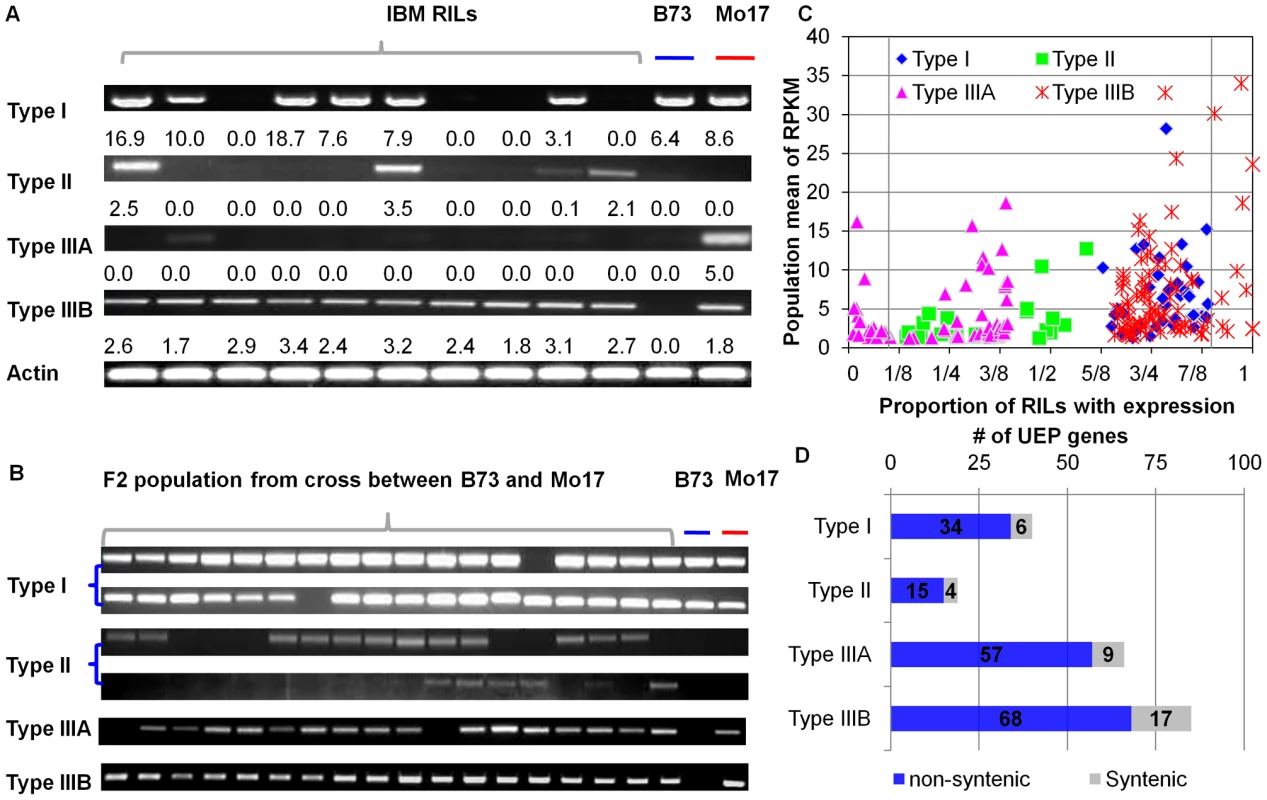 Four types of unexpected expression patterns between the RILs and their parents.