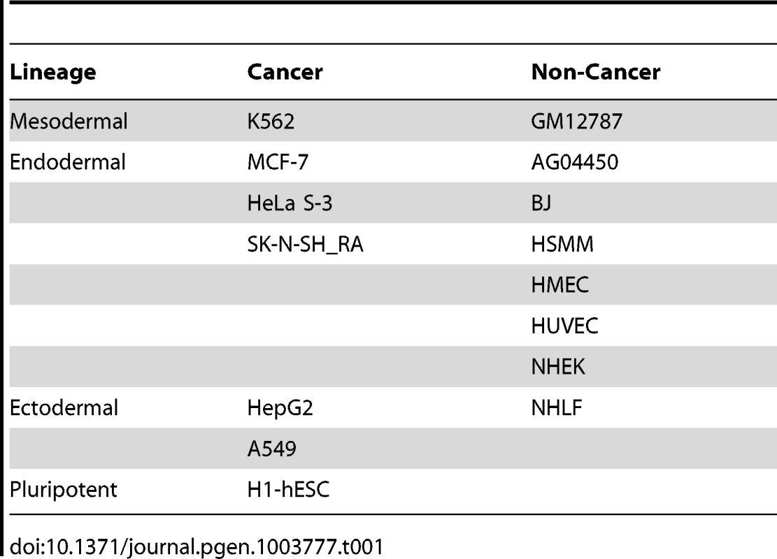 ENCODE cell types analyzed by lineage and cancer status.