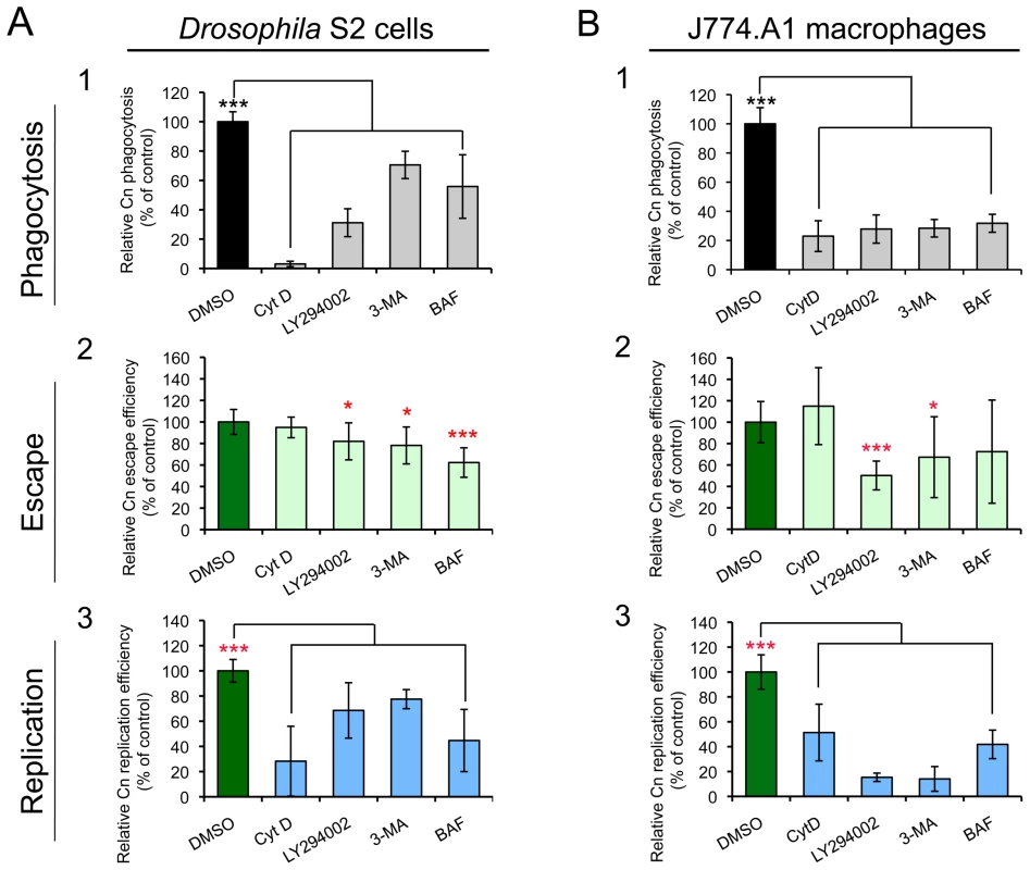 Effect of selected compounds on <i>Cryptococcus neoformans</i> infection.