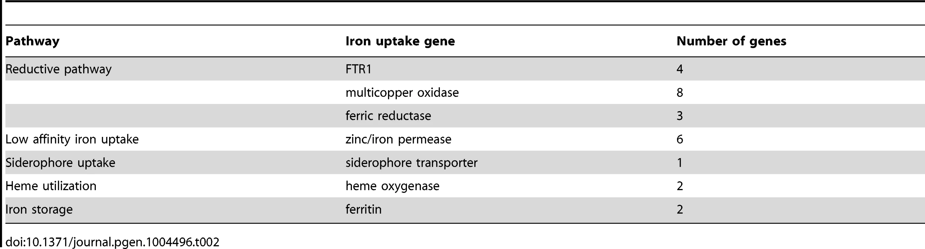 Iron uptake genes in the <i>L. corymbifera</i> genome.