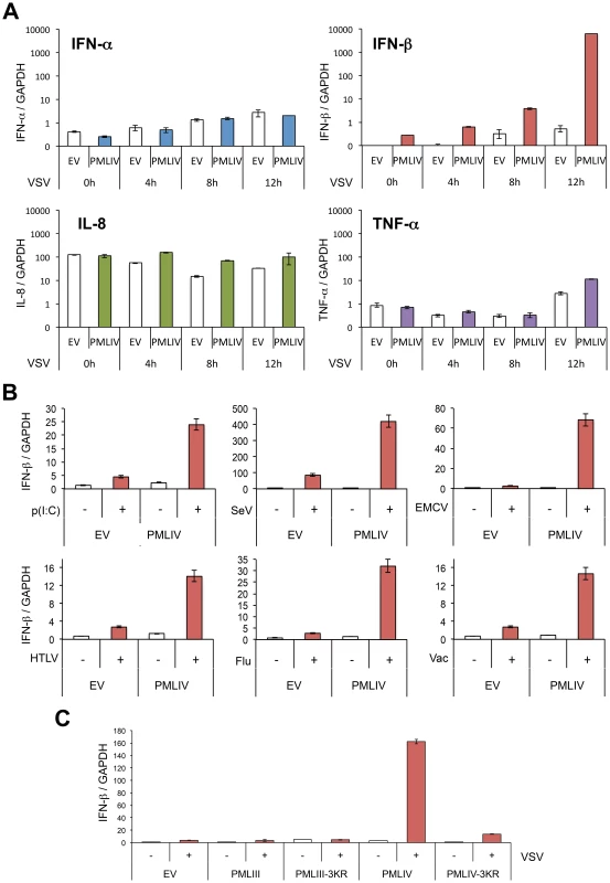 PMLIV positively regulates IFN-β synthesis.