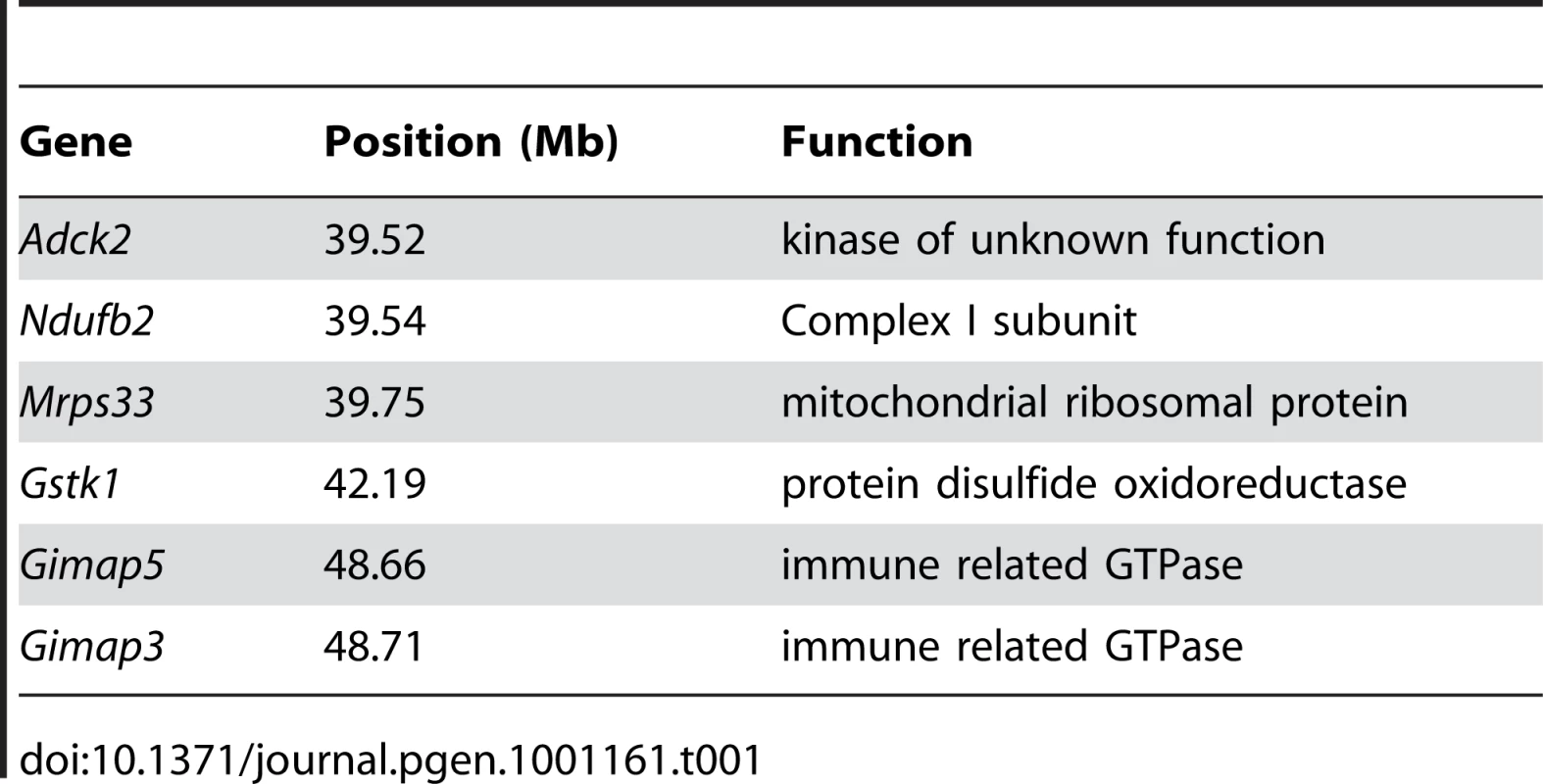 Chromosome 6 genes located between 37–49 Mb with a role in mitochondrial biology (GO:0005739).