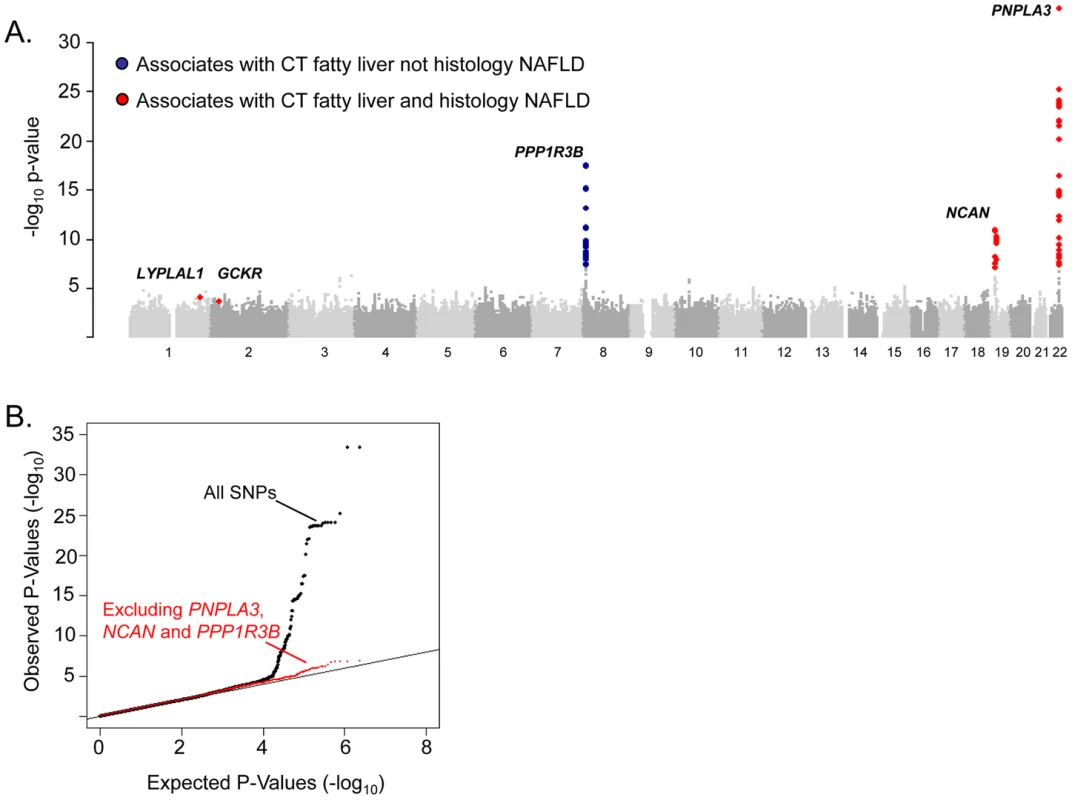 Genome-wide association results for GOLD (Stage 1).