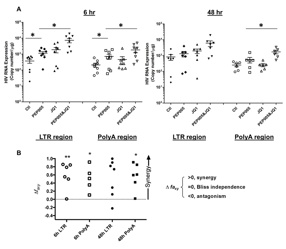 PEP005 and JQ1 synergistically induce HIV transcription in primary CD4+ T cells from HIV infected individuals on suppressive ART.