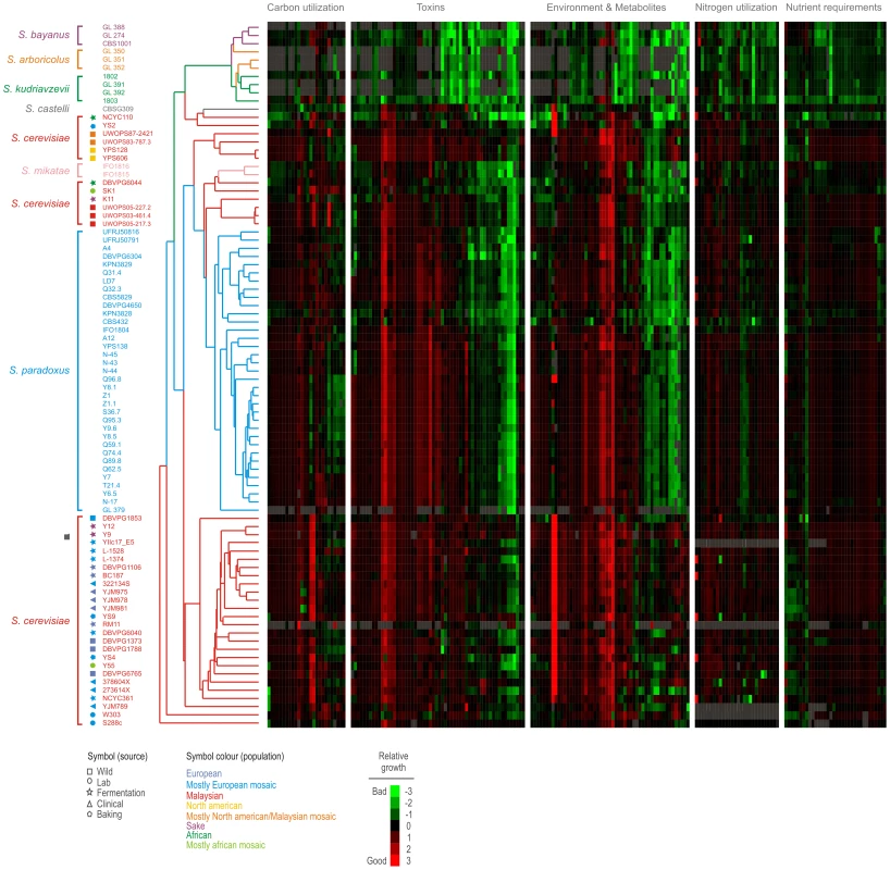 Trait variations within <i>Saccharomyces sensu stricto</i> species.