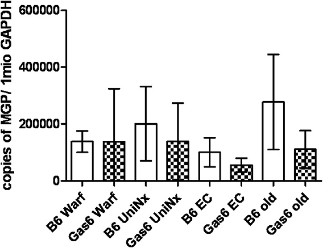 MGP expression; MGP mRNA expressed as copies of MGP per 1 million copies of GAPDH measured by RT-PCR; mean ± SD