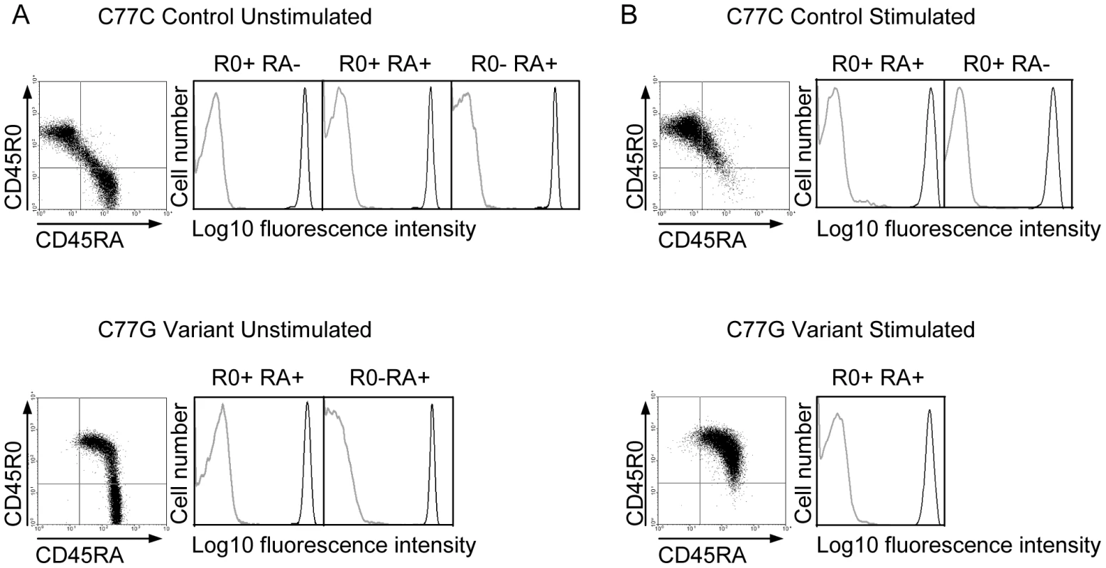 pUL11 interacts with T cells expressing both long and short isoforms of CD45.