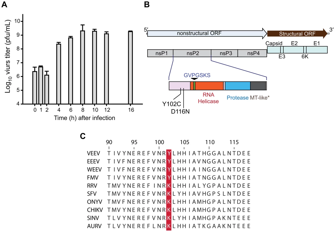 CID15997213 targets viral nsP2.