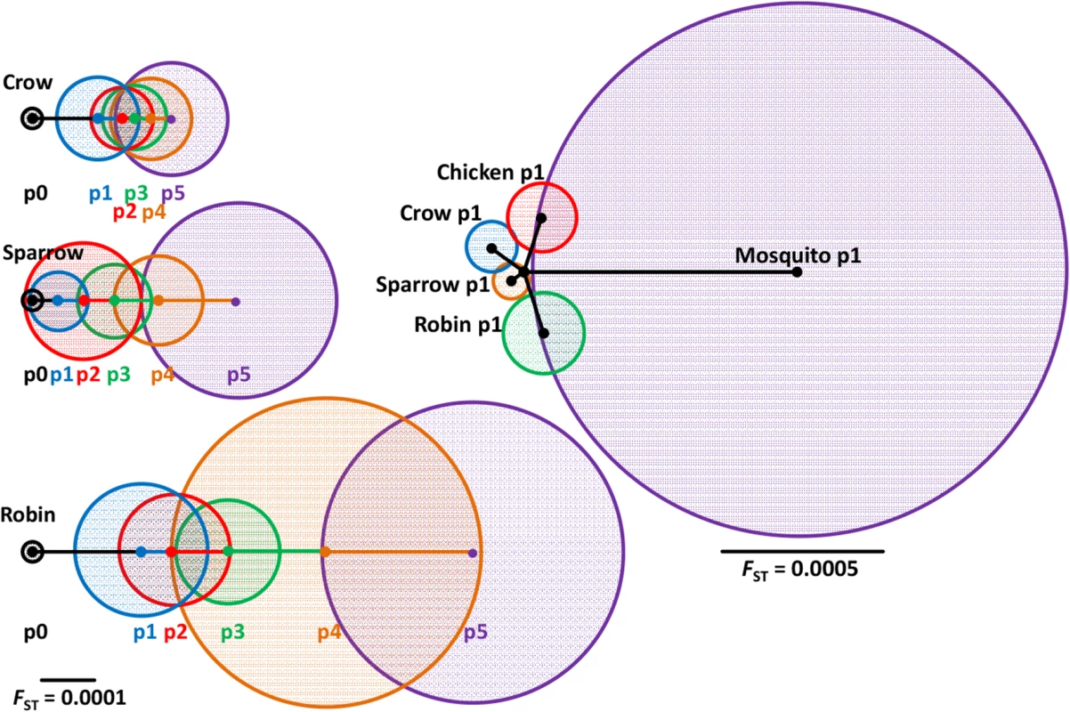 Differential interhost divergence of viral populations between individuals, sequential passage and host species.