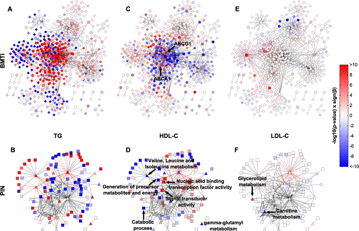 Intermediate clinical phenotype associations.
