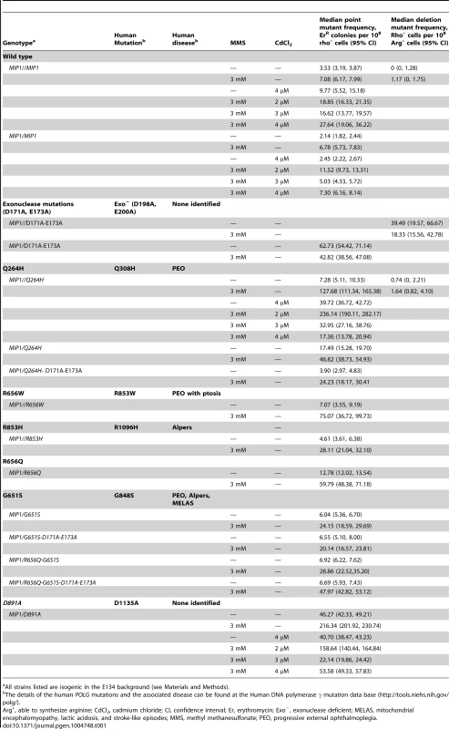 List of Pol γ mutations analyzed in this study and summary of results.