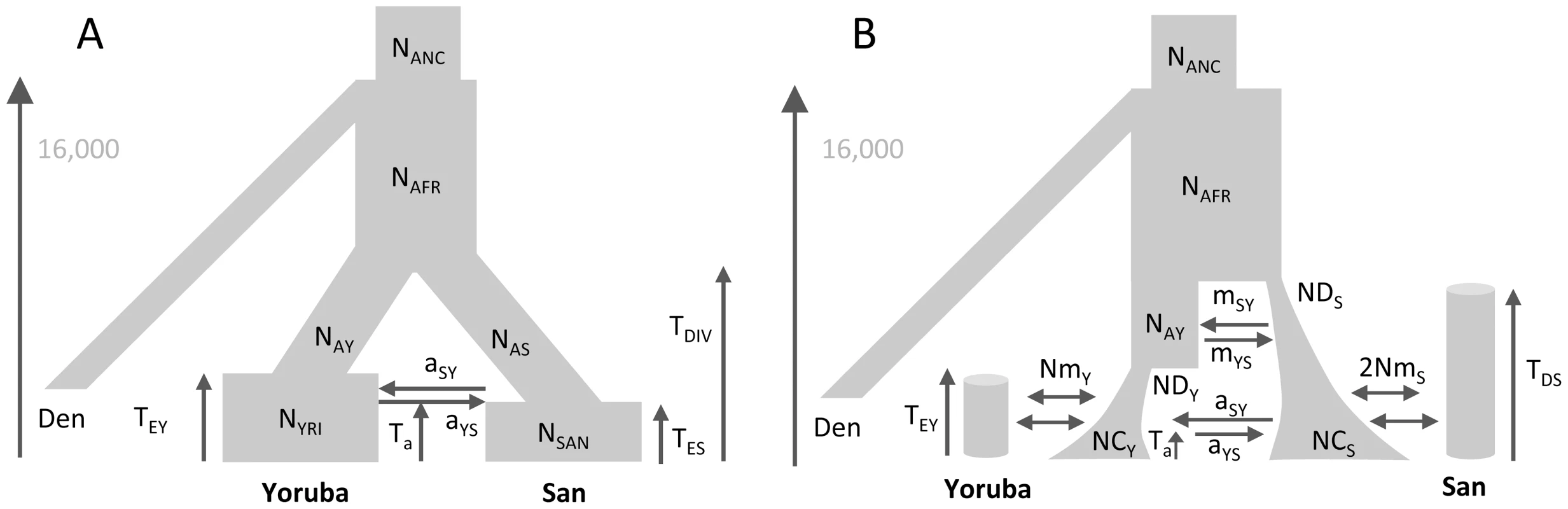 Alternative demographic models for two African populations.