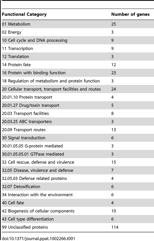 Tri6 targets summarized by functional categories.
