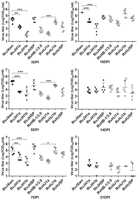 Viral loads in sera of piglets inoculated with the rescued viruses with the exchanged coding regions.