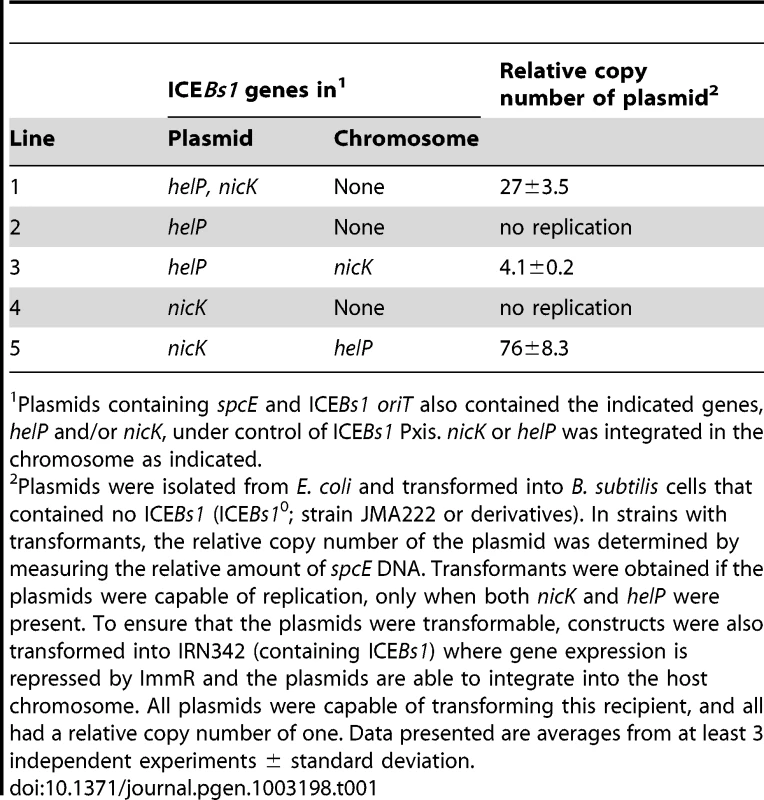 NicK and HelP are the only ICE–encoded factors required for autonomous replication.