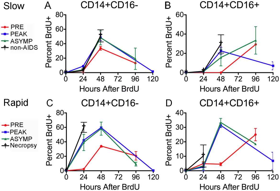 Monocyte subsets leave the bone marrow at different rates that are accelerated in animals that develop SIVE.