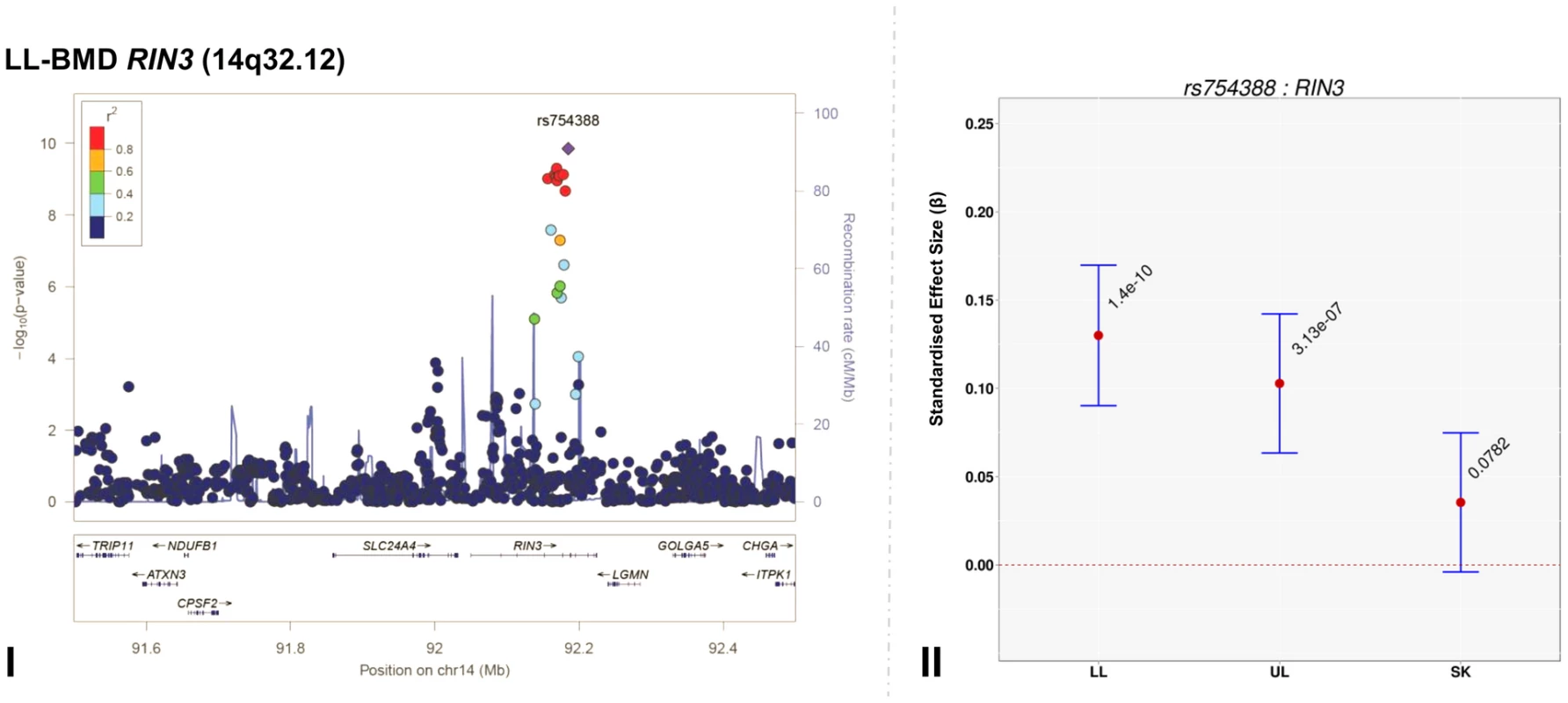Regional association plot of the primary signal (rs754388) associate with lower limb-BMD at 14q32.12, in addition to a comparison of the effect of rs754388 on bone mineral density at three different skeletal sites.