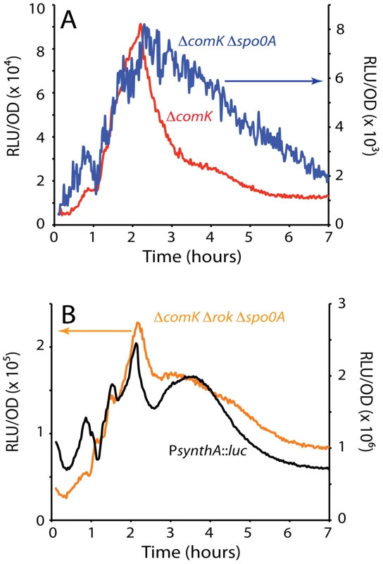<i>comK</i> expression in the absence of Spo0A and expression of a synthetic promoter (P<i>synthA</i>) containing the −35 and −10 motifs of SigA-dependent promoters.
