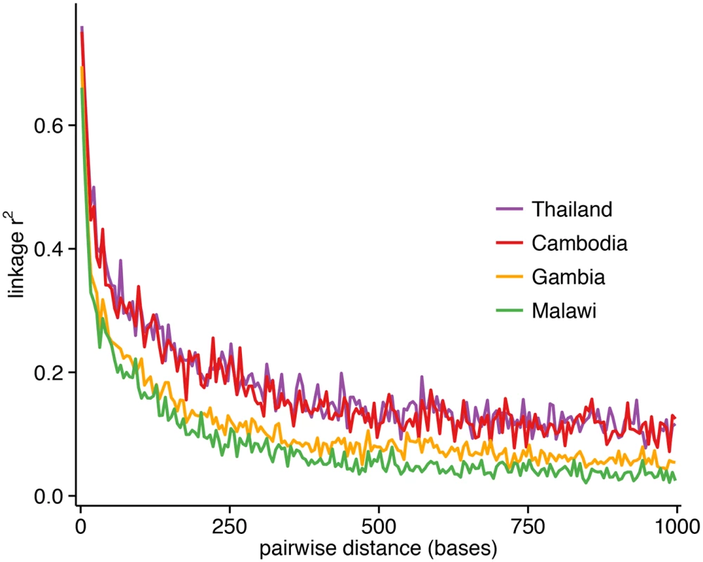 Linkage disequilibrium (LD) decay as a function of genomic distance in each population, using <i>r</i><sup><i>2</i></sup> between pairs of markers with MAF≥5% and within 1000 bp of each other.