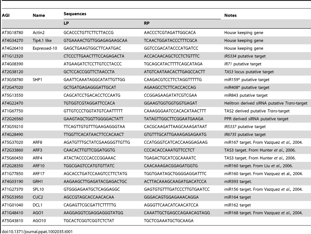 Primer sequences used in this study.
