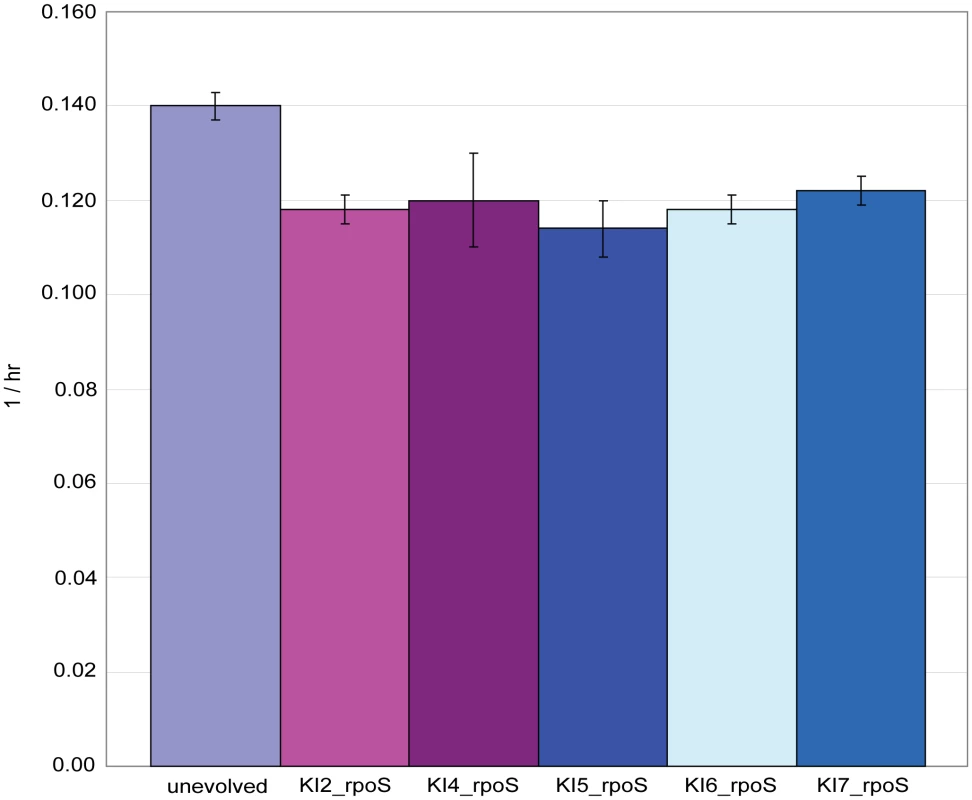 Growth rates for five <i>rpoS</i> knock-in strains.