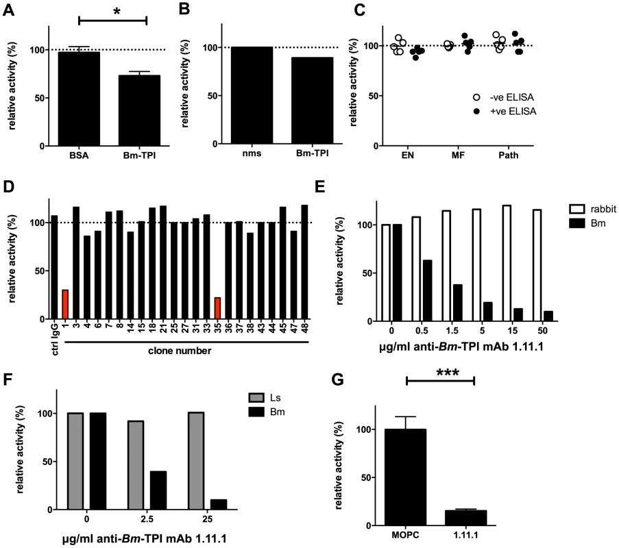 Generation of neutralizing antibodies to <i>Bm</i>-TPI.