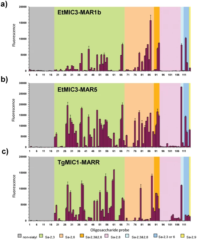 Carbohydrate microarray analyses of MAR domains.