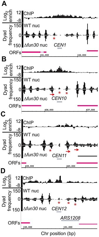 Fun30 is required for normal <i>CEN</i>-flanking nucleosome positioning and/or <i>CEN</i> core particle structure.