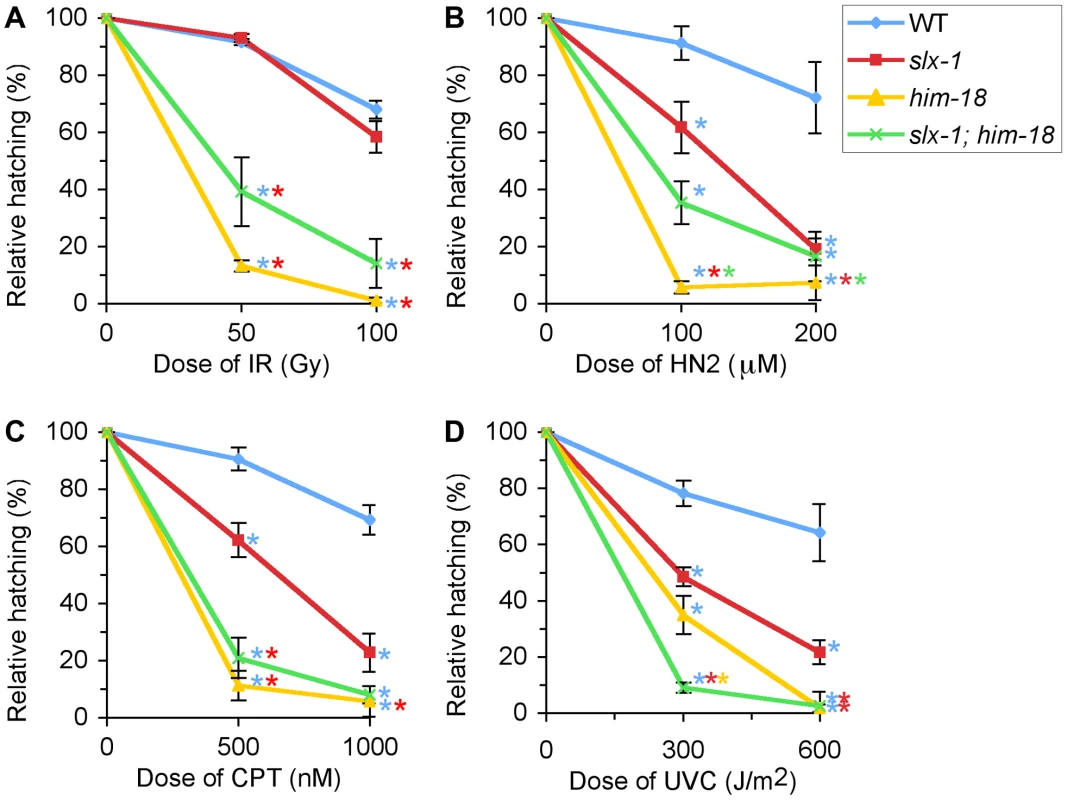 <i>slx-1</i> mutants exhibit hypersensitivity to nitrogen mustard, camptothecin, and ultraviolet C, but not ionizing radiation.