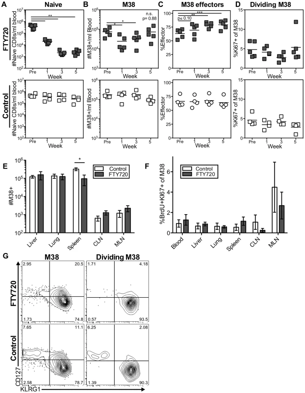 Long-term FTY720 treatment does not alter the maintenance of memory inflation.