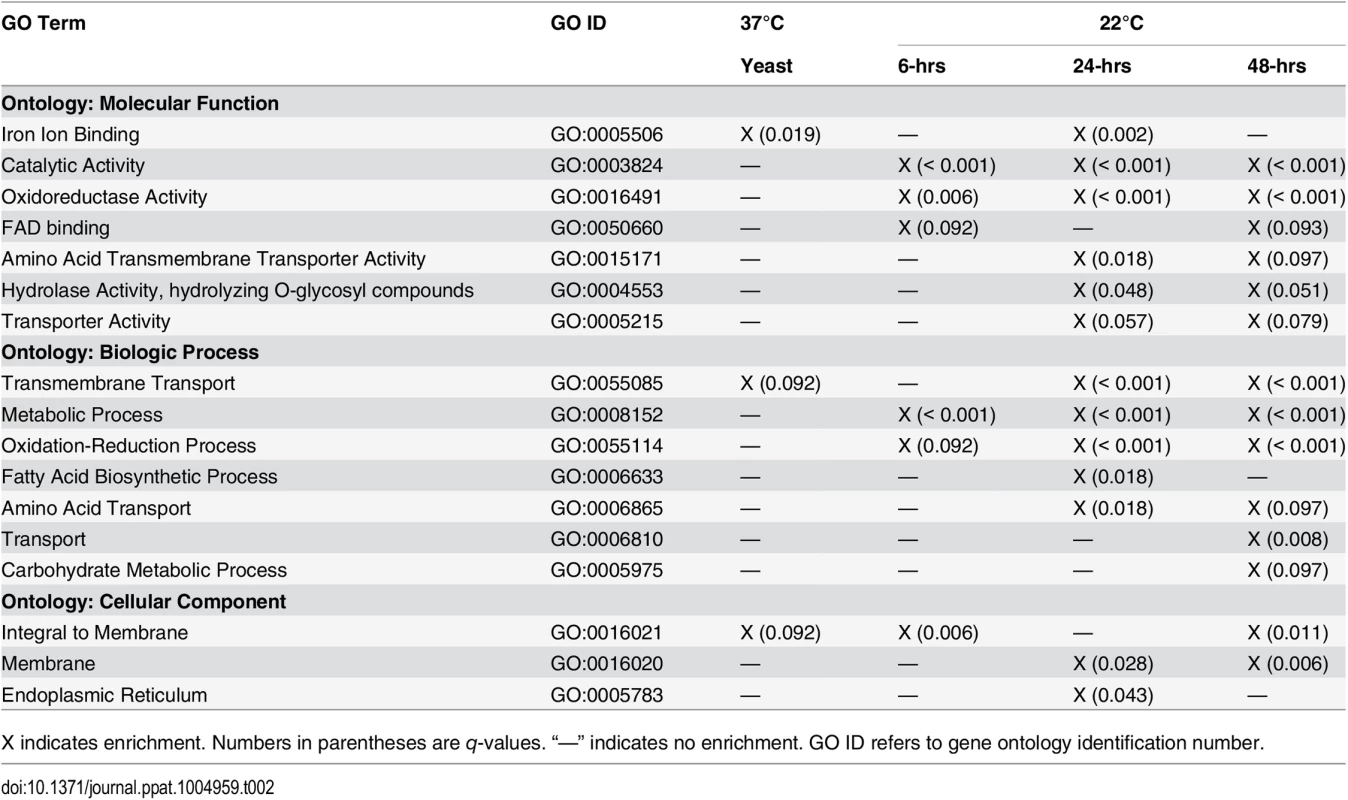 Gene ontology (GO) enrichment analysis.