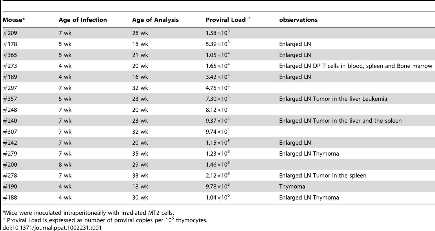 Pathological features in HIS Rag2<sup>-/-</sup>γ<sub>c</sub><sup>-/-</sup> mice infected with HTLV-1.