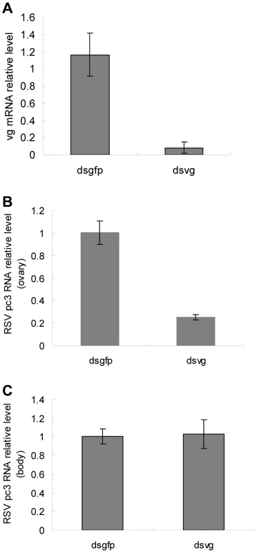 Quantitative assay of RSV in dsRNA-injected ovarioles.