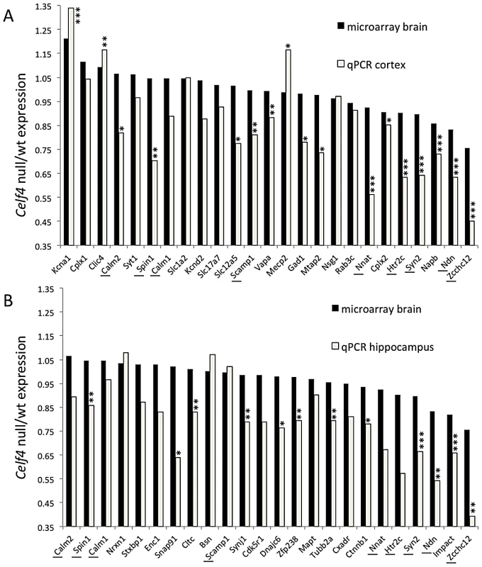 Validation of CELF4 genotype-dependent abundance changes of select CELF4 target mRNAs.